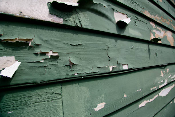 Best Siding Replacement  in Arlington, GA