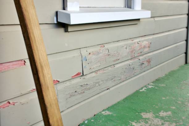 Best Engineered Wood Siding  in Arlington, GA